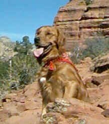 budwest.jpg (5334 bytes)